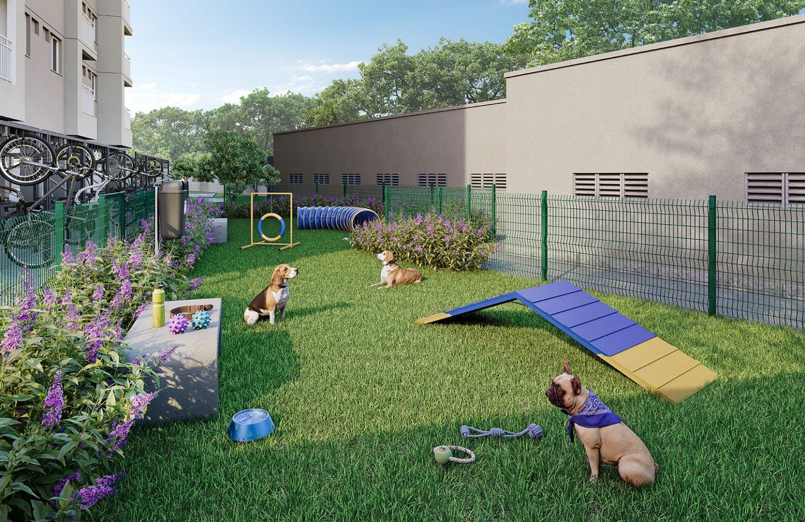 Cartola 10 Cartola - Pet place